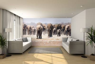 Fotobehang met dieren olifanten