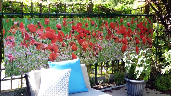 Tuinposter met klaprozen.