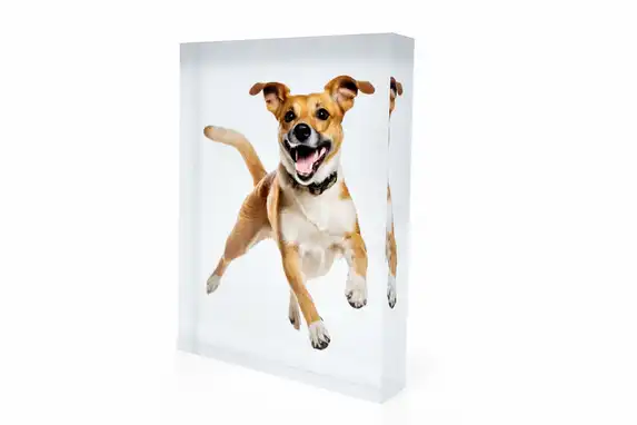 Laat de achtergrond van je foto verwijderen voor een vrijstaand effect in het acrylblok.