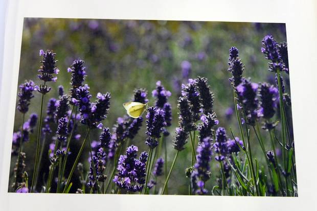 Perfecte printkwaliteit op hoogwaardig canvas. Keuze uit los doek schoongesneden op de printmaat of los doek met 10 cm extra wit rondom.