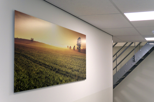Ook felle kleuren komen perfect uit op de foto verlijmd op 1mm aluminium.